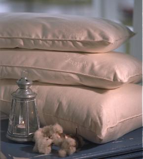 organic cotton pillow